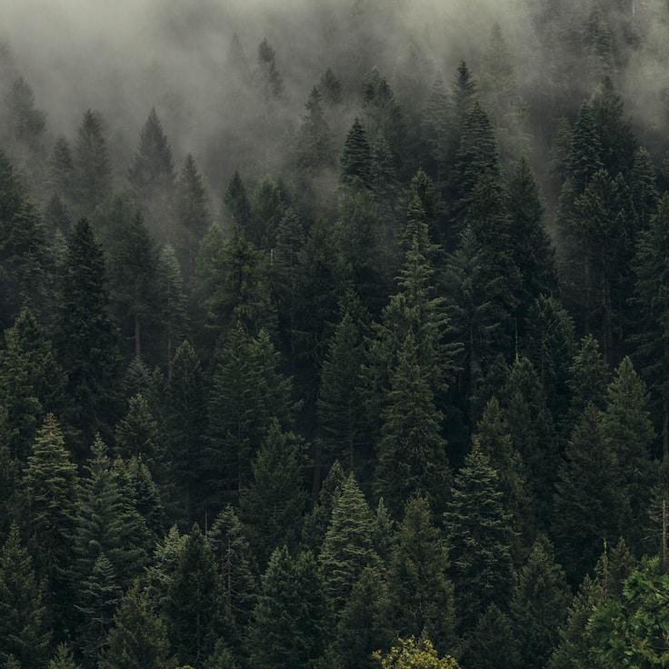 Low-impact nature route